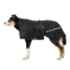 Picture of BACK ON TRACK DOG RUG BLACK 63cm