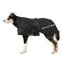 Picture of BACK ON TRACK DOG RUG BLACK 63cm