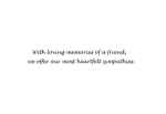 Picture of HUGBUG BIRD SYMPATHY CARDS w/ SENTIMENT - 10/pk