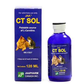 Picture of CT SOL L-CARNITINE SOLUTION - 120ml