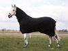 Picture of BACK ON TRACK EQUINE FLEECE RUG with NECK BLACK - 72in