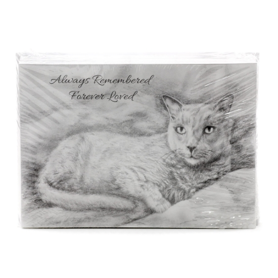 Picture of SYMPATHY CARDS w/ ENV for CATS BLACK & WHITE - 25/pk