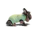 Picture of MEDICAL PET SHIRT SMALL RABBIT