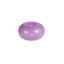 Show details for FITPAWS CANINE CONDITIONING TRAX Donut Purple 13in - Kit Picture of FITPAWS CANINE CONDITIONING TRAX Donut Purple 13in - Kit