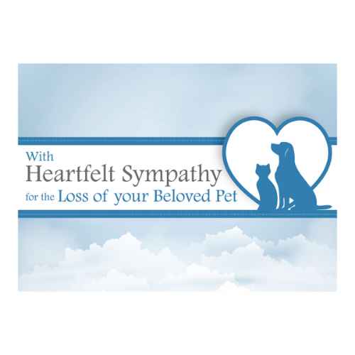 Picture of SYMPATHY CARDS W/ENV for BELOVED PET - 25/pk