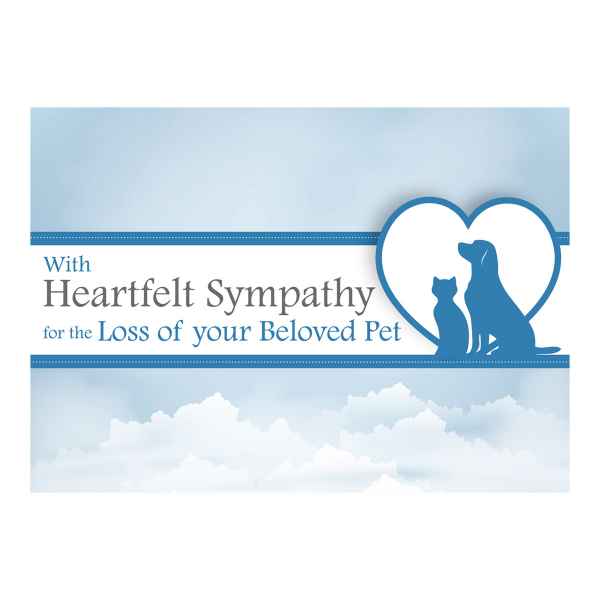 Picture of SYMPATHY CARDS W/ENV for BELOVED PET - 25/pk