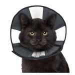 Picture of ZENCONE E-COLLAR SMALL 8 to 12in