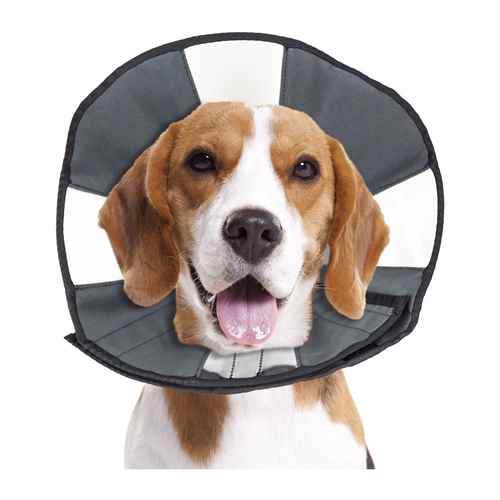 Picture of ZENCONE E-COLLAR MEDIUM 12 to 15in