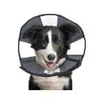 Picture of ZENCONE E-COLLAR LARGE 15 to 18in