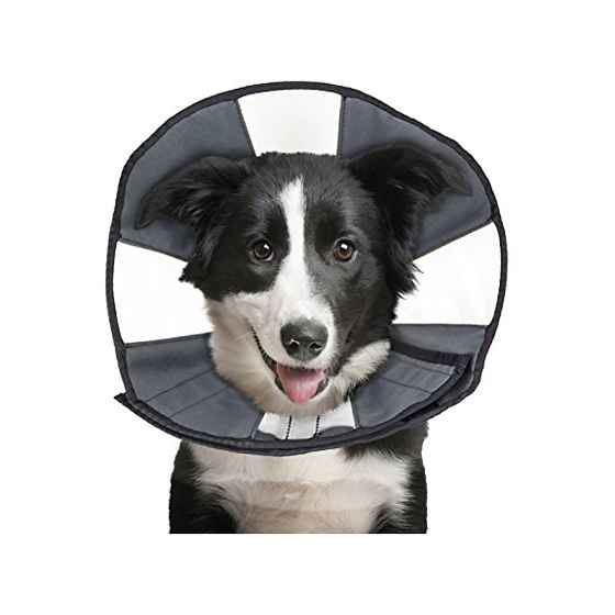 Picture of ZENCONE E-COLLAR LARGE 15 to 18in