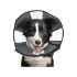 Picture of ZENCONE E-COLLAR LARGE 15 to 18in