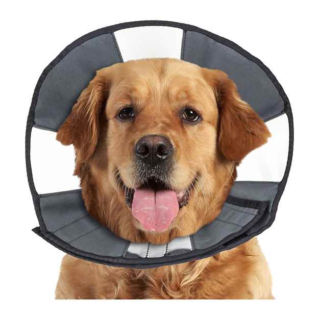 Picture of ZENCONE E-COLLAR X LARGE 18 to 23in