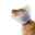Show details for BUSTER CLIC CLEAR COLLAR (273485) - 25cm Picture of BUSTER CLIC CLEAR COLLAR (273485) - 25cm