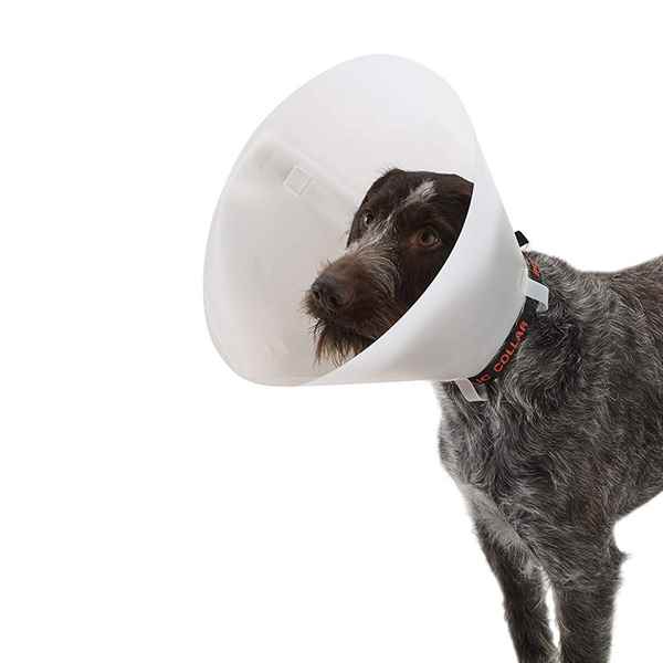 Picture of BUSTER COLLAR CLASSIC WHITE (273330) - 15cm