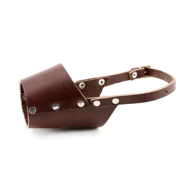 Picture of MUZZLE LEATHER CANINE (J0230B) - Small