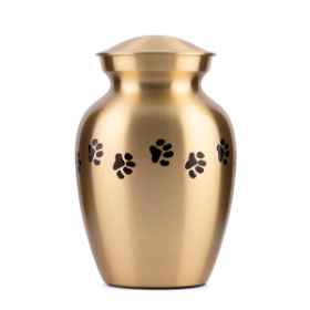 Show details for CREMATION Urn Paw Print Classic Brass (0316PPXS) - X Small Picture of CREMATION Urn Paw Print Classic Brass (0316PPXS) - X Small