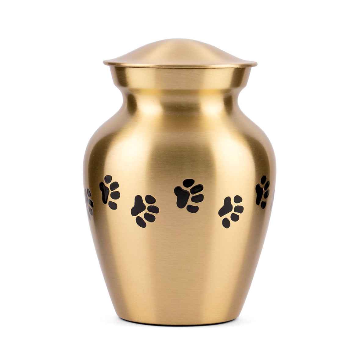 Picture of CREMATION Urn Paw Print Classic Brass (J0316PPP) - Petite