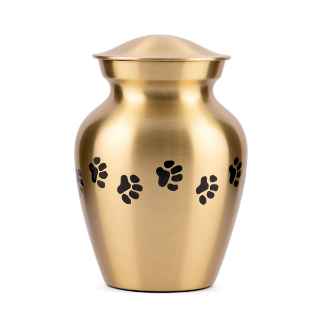 Picture of CREMATION Urn Paw Print Classic Brass (J0316PPP) - Petite