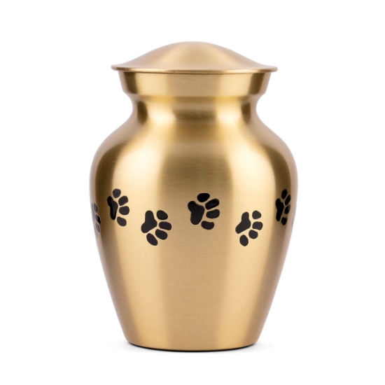 Picture of CREMATION Urn Paw Print Classic Brass (J0316PPP) - Petite