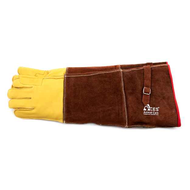 Picture of GLOVES PENETRATION PROTECTION Mens(0791M) - 23in