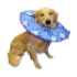 Picture of SOFT - E - COLLAR (J1003G) - Large