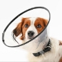 Picture of BUSTER COMFORT COLLAR w/Soft Rubber Edge(273906) - 30cm