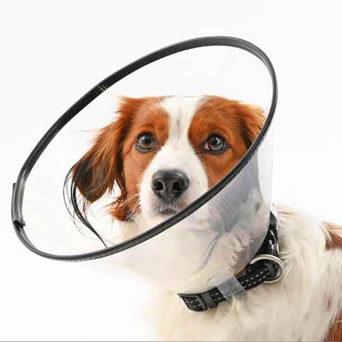 Picture of BUSTER COMFORT COLLAR w/Soft Rubber Edge(273902) - 12.5cm