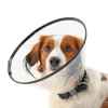 Picture of BUSTER COMFORT COLLAR w/Soft Rubber Edge(273907) - Set of 7