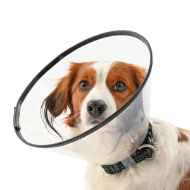 Picture of BUSTER COMFORT COLLAR w/Soft Rubber Edge(273907) - Set of 7