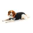 Picture of BUSTER CANINE BODY SUIT EASYGO 32cm body length - XX Small