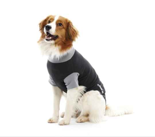 Picture of BUSTER CANINE BODY SUIT EASYGO  X Small - 39cm body length