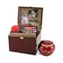 Picture of CREMATION PAW PRINT MEMORY CHEST (J0316MCL) - Large