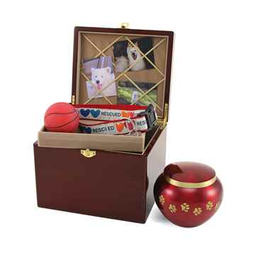 Picture of CREMATION PAW PRINT MEMORY CHEST (J0316MCS) - Small