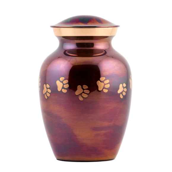 Picture of CREMATION URN Paw Print Raku (J0316CXS) - Small