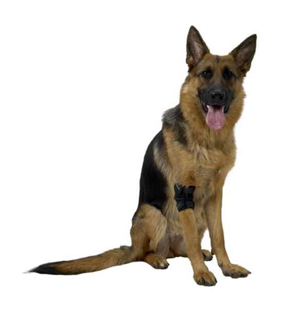 Picture of REHAB DOG ELBOW PROTECTOR Kruuse - X Small