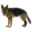 Show details for REHAB DOG HOCK PROTECTOR Kruuse - Medium Picture of REHAB DOG HOCK PROTECTOR Kruuse - Medium