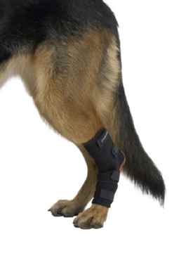 Picture of REHAB DOG HOCK PROTECTOR Kruuse - Medium