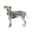 Show details for REHAB DOG CARPAL JOINT PROTECTOR Kruuse - X Small Picture of REHAB DOG CARPAL JOINT PROTECTOR Kruuse - X Small