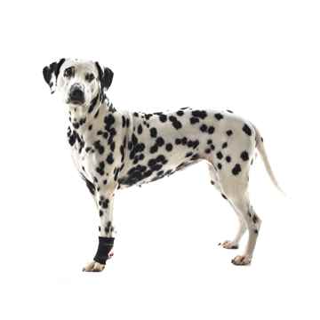 Picture of REHAB DOG CARPAL JOINT PROTECTOR Kruuse - X Small