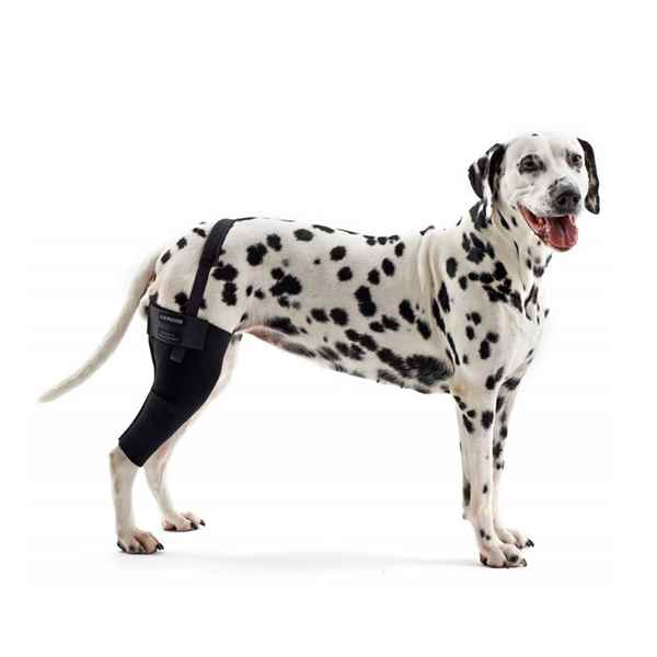 Picture of REHAB DOG KNEE PROTECTOR Kruuse LEFT - X Small