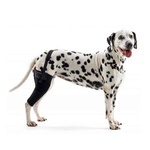 Picture of REHAB DOG KNEE PROTECTOR Kruuse LEFT - Small