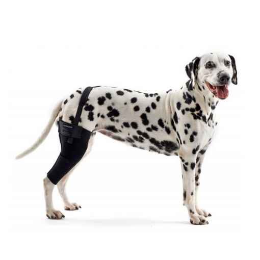 Picture of REHAB DOG KNEE PROTECTOR Kruuse RIGHT - Small