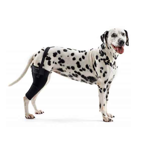 Picture of REHAB DOG KNEE PROTECTOR Kruuse LEFT - Medium