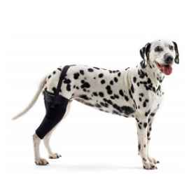 Show details for REHAB DOG KNEE PROTECTOR Kruuse RIGHT - Large Picture of REHAB DOG KNEE PROTECTOR Kruuse RIGHT - Large