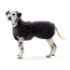 Picture of REHAB DOG BLANKET SOFTSHELL Kruuse - 33cm