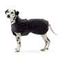 Picture of REHAB DOG BLANKET SOFTSHELL Kruuse - 46cm