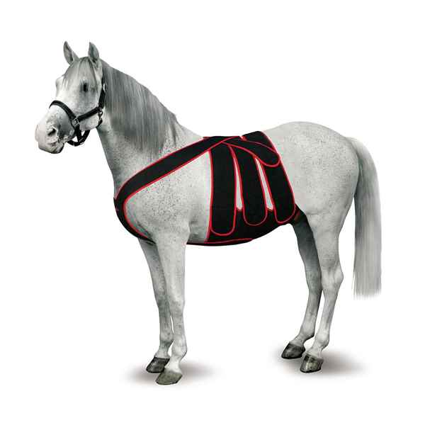Picture of EQUINE MAINTAVET POST COLIC/ABDOMINAL SURGERY KIT - Medium Horse