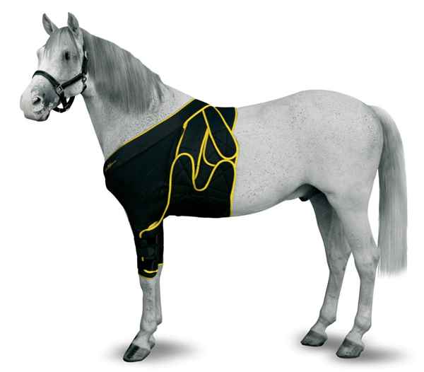 Picture of EQUINE MAINTAVET FRONTAL/CHEST BANDAGE - Small Foal