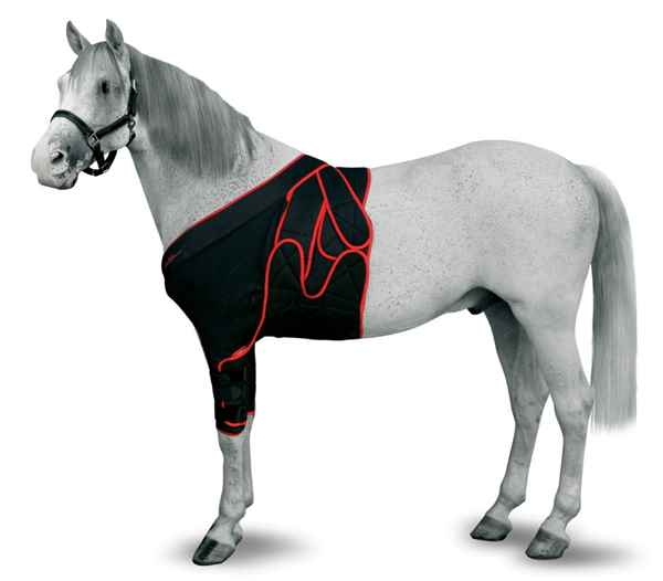 Picture of EQUINE MAINTAVET FRONTAL/CHEST BANDAGE - Medium Foal
