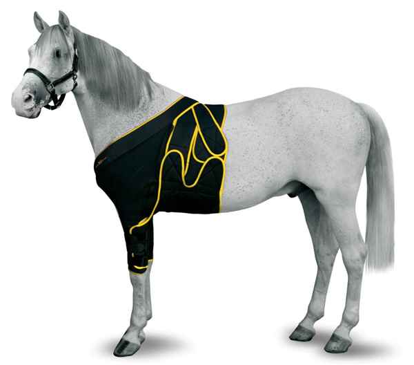 Picture of EQUINE MAINTAVET FRONTAL/CHEST BANDAGE - Small Horse